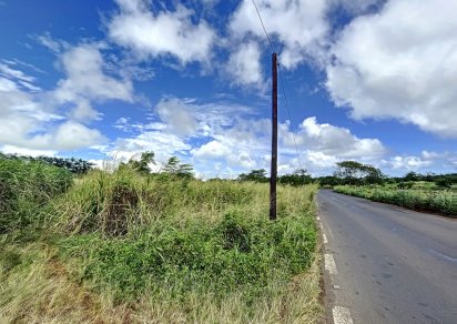 Agricultural land - 2110 m²