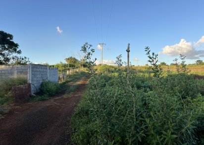 Agricultural land - 21281 m²