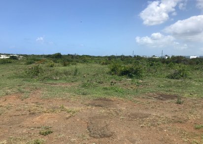 Agricultural land - 22609 m²