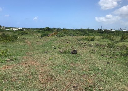 Agricultural land - 22609 m²