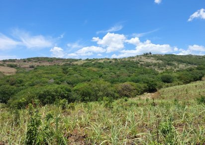Agricultural land - 232000 m²