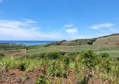 Agricultural land - 232000 m²