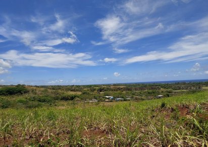 Agricultural land - 232000 m²