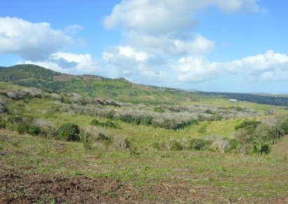 Agricultural land - 2351 m²