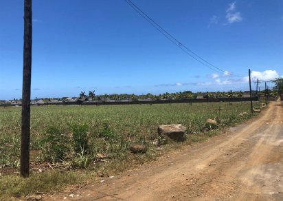 Agricultural land - 25320 m²