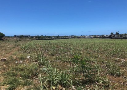 Agricultural land - 25320 m²