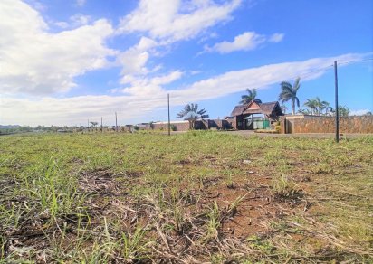 Agricultural land - 25320 m²
