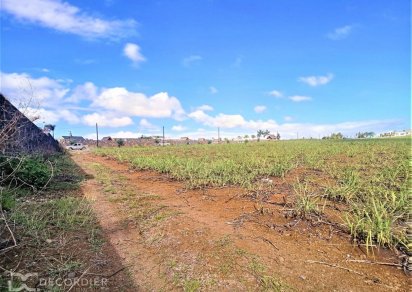 Agricultural land - 25320 m²