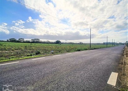Agricultural land - 25320 m²