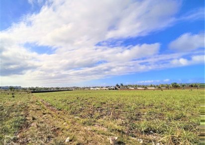 Agricultural land - 25320 m²