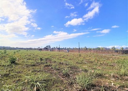 Agricultural land - 25320 m²