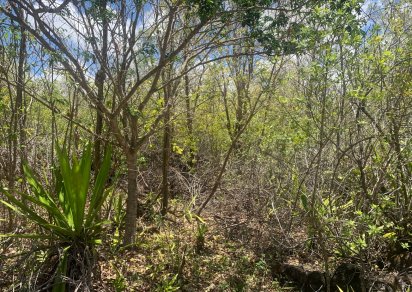 Agricultural land - 28069 m²