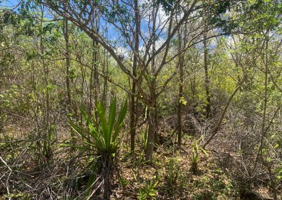 Agricultural land - 28069 m²
