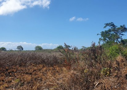 Agricultural land - 3777 m²