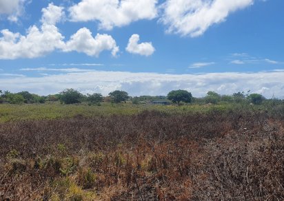 Agricultural land - 3777 m²