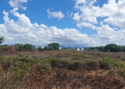 Agricultural land - 3777 m²