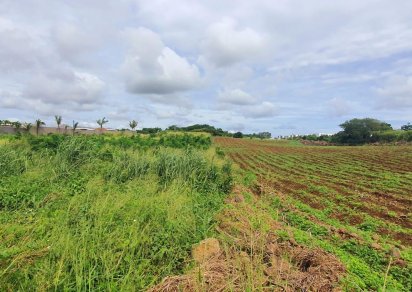 Agricultural land - 4178 m²