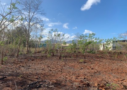 Agricultural land - 4220 m²