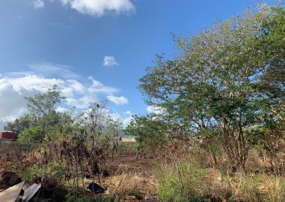 Agricultural land - 4220 m²