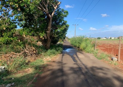 Agricultural land - 4220 m²