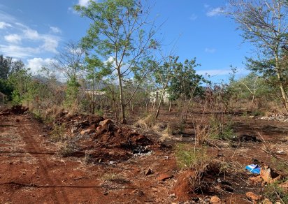 Agricultural land - 4220 m²