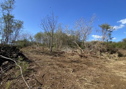 Agricultural land - 4226 m²