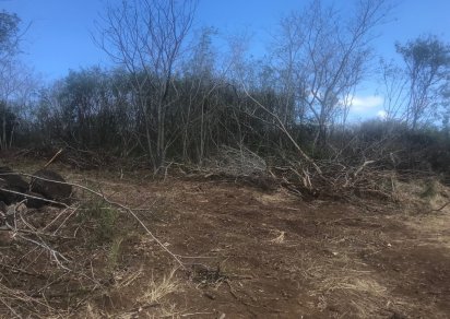 Agricultural land - 4226 m²