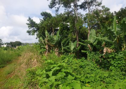 Agricultural land - 4474 m²