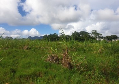 Agricultural land - 4474 m²