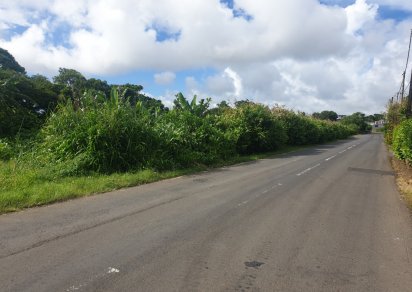 Agricultural land - 4474 m²
