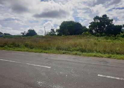 Agricultural land - 4474 m²
