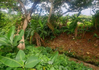 Agricultural land - 4474 m²