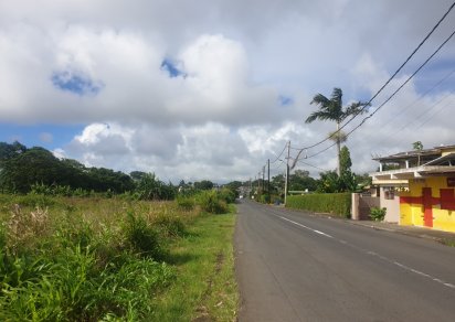 Agricultural land - 4474 m²