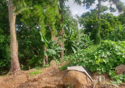 Agricultural land - 4474 m²