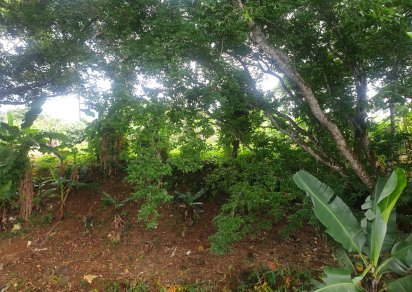 Agricultural land - 4474 m²