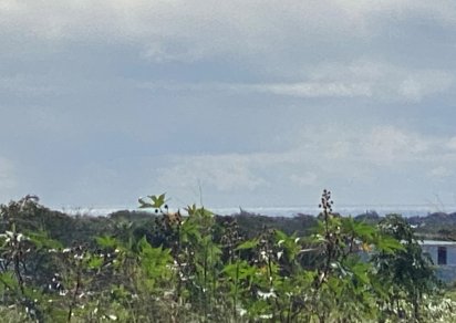 Agricultural land - 4656 m²