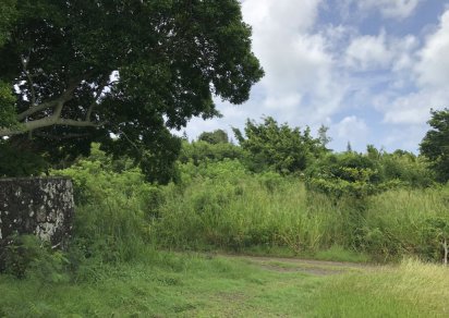 Agricultural land - 4850 m²