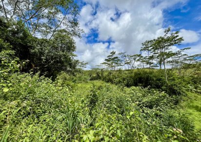 Agricultural land - 4876 m²