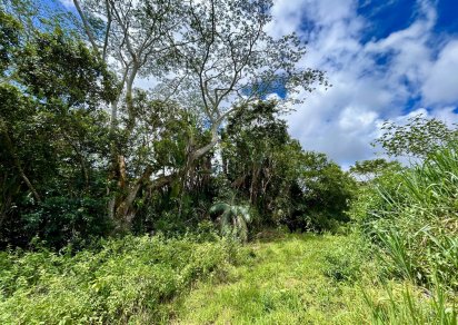 Agricultural land - 4876 m²