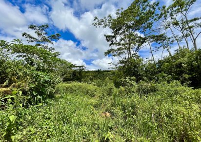 Agricultural land - 4876 m²