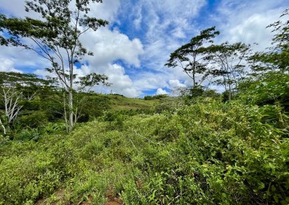Agricultural land - 4876 m²