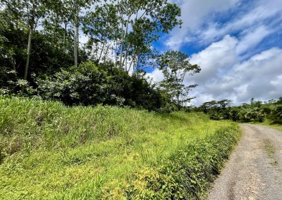 Agricultural land - 4876 m²
