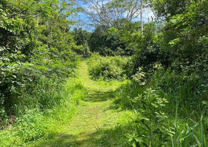 Agricultural land - 4876 m²