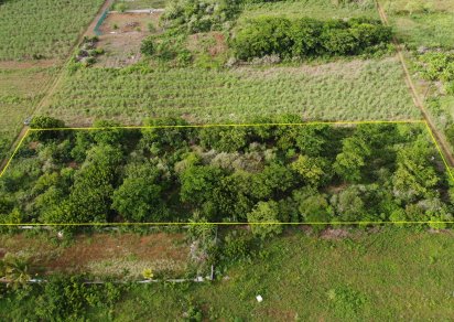 Agricultural land - 5026 m²