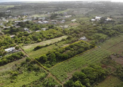 Agricultural land - 5026 m²