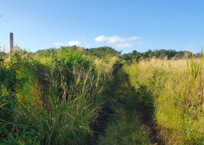 Agricultural land - 5972 m²