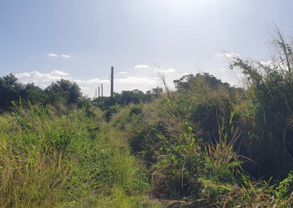Agricultural land - 5972 m²