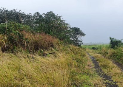 Agricultural land - 6262 m²