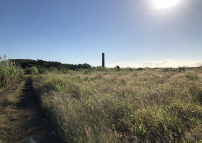 Agricultural land - 6262 m²