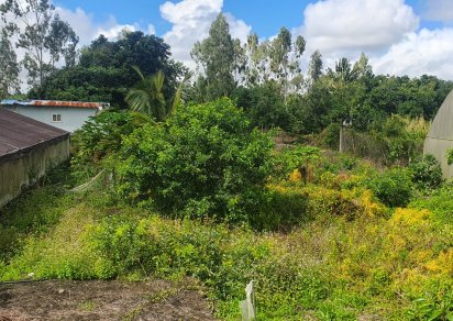 Agricultural land - 6759 m²